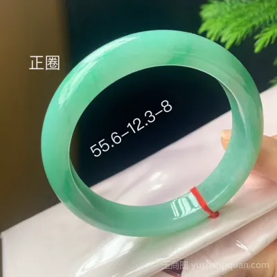冰润 🧊果绿底 🍃正圈手镯